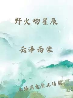 野火吻星辰